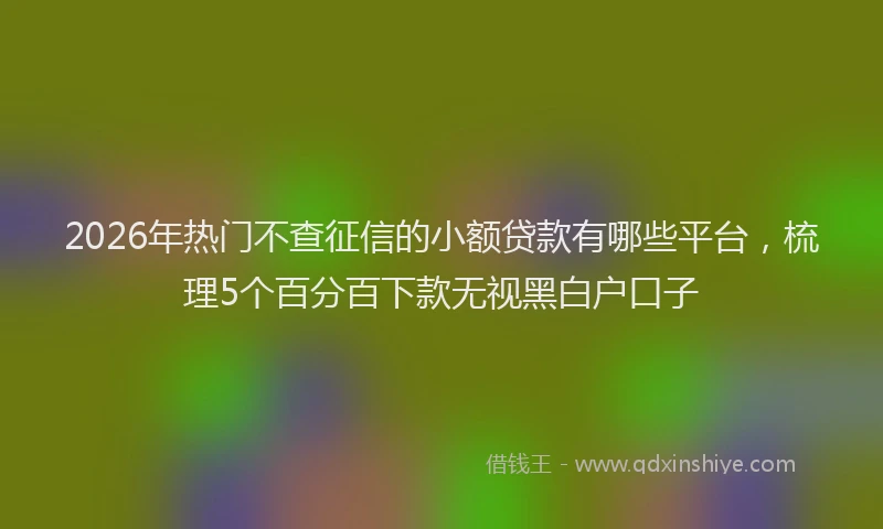 2026年热门不查征信的小额贷款有哪些平台，梳理5个百分百下款无视黑白户口子