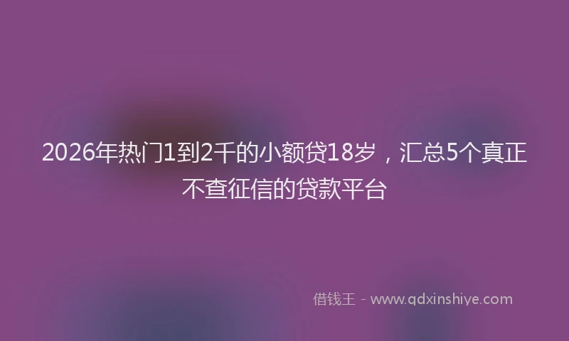 2026年热门1到2千的小额贷18岁，汇总5个真正不查征信的贷款平台