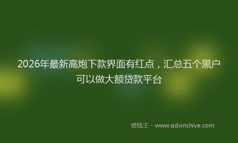 2026年最新高炮下款界面有红点，汇总五个黑户可以做大额贷款平台