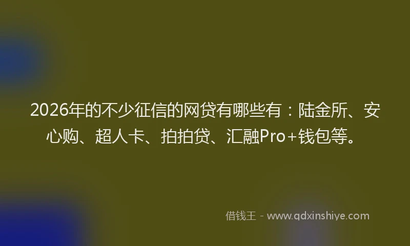2026年的不少征信的网贷有哪些有：陆金所、安心购、超人卡、拍拍贷、汇融Pro+钱包等。