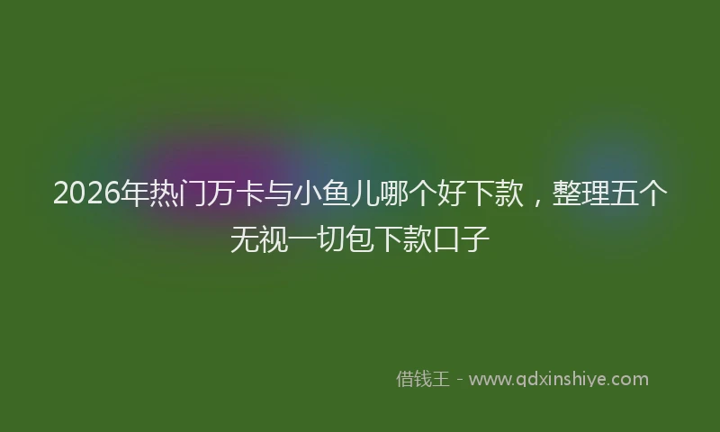 2026年热门万卡与小鱼儿哪个好下款，整理五个无视一切包下款口子