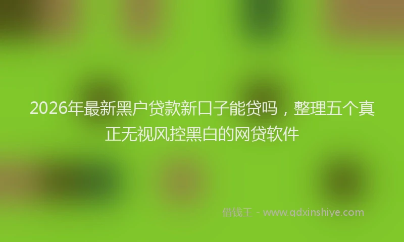 2026年最新黑户贷款新口子能贷吗，整理五个真正无视风控黑白的网贷软件