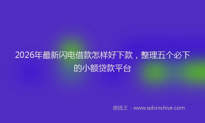 2026年最新闪电借款怎样好下款，整理五个必下的小额贷款平台
