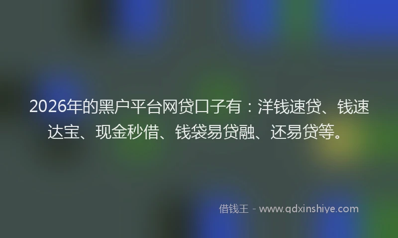 2026年的黑户平台网贷口子有：洋钱速贷、钱速达宝、现金秒借、钱袋易贷融、还易贷等。