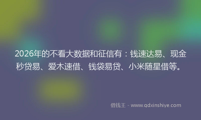 2026年的不看大数据和征信有：钱速达易、现金秒贷易、爱木速借、钱袋易贷、小米随星借等。