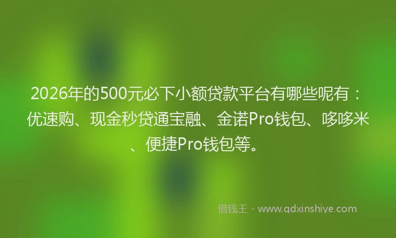 2026年的500元必下小额贷款平台有哪些呢有：优速购、现金秒贷通宝融、金诺Pro钱包、哆哆米、便捷Pro钱包等。