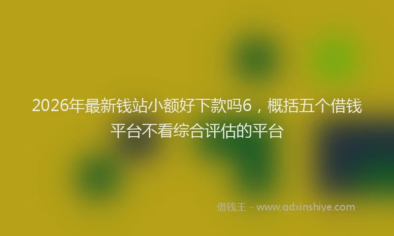2026年最新钱站小额好下款吗6，概括五个借钱平台不看综合评估的平台