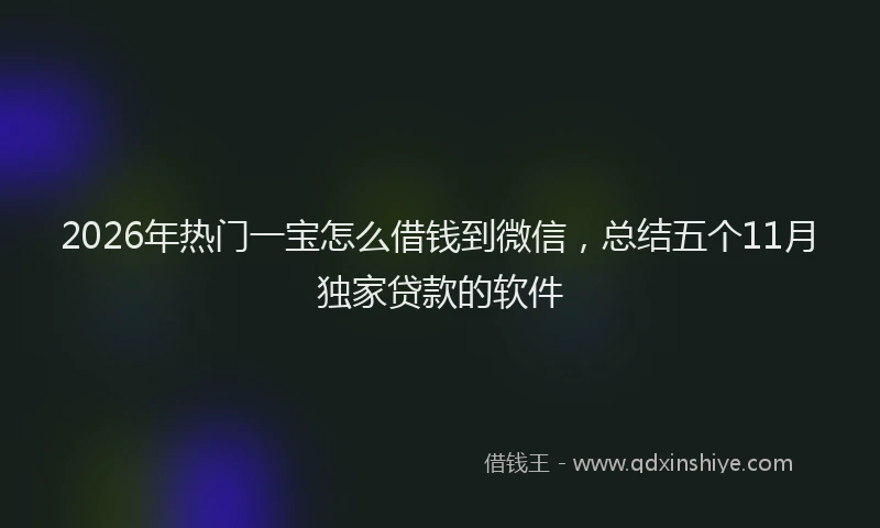 2026年热门一宝怎么借钱到微信，总结五个11月独家贷款的软件