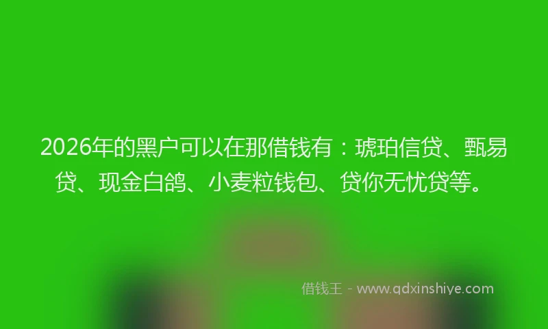 2026年的黑户可以在那借钱有：琥珀信贷、甄易贷、现金白鸽、小麦粒钱包、贷你无忧贷等。