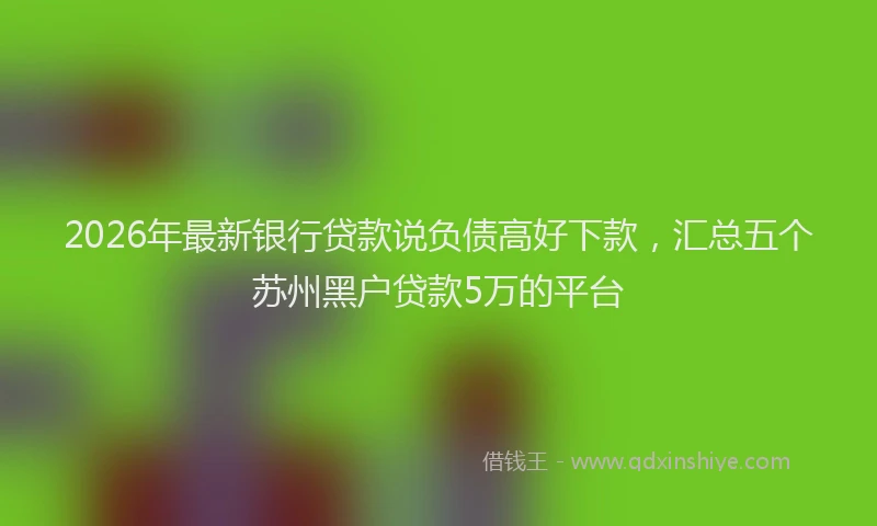 2026年最新银行贷款说负债高好下款，汇总五个苏州黑户贷款5万的平台
