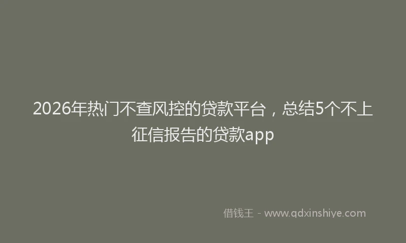 2026年热门不查风控的贷款平台，总结5个不上征信报告的贷款app
