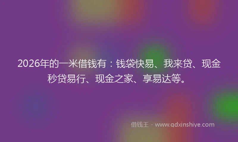 2026年的一米借钱有：钱袋快易、我来贷、现金秒贷易行、现金之家、享易达等。