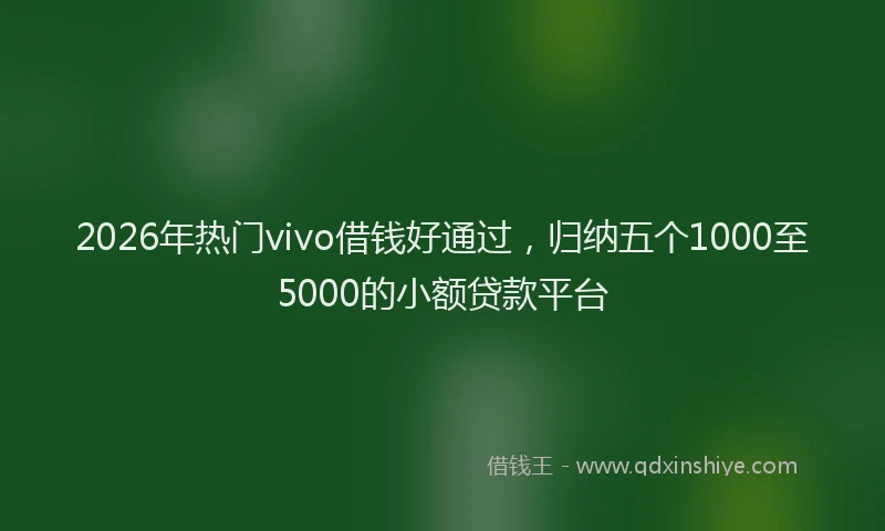 2026年热门vivo借钱好通过，归纳五个1000至5000的小额贷款平台