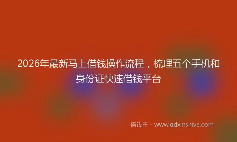 2026年最新马上借钱操作流程，梳理五个手机和身份证快速借钱平台