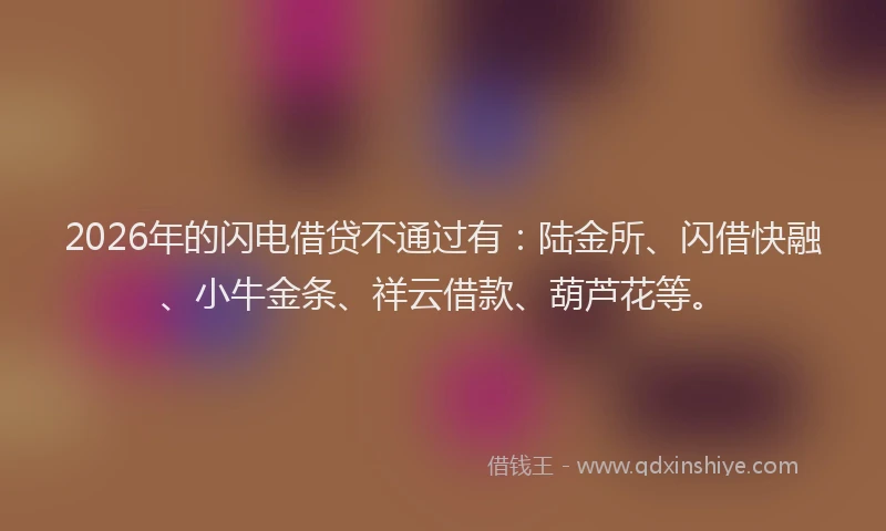 2026年的闪电借贷不通过有：陆金所、闪借快融、小牛金条、祥云借款、葫芦花等。
