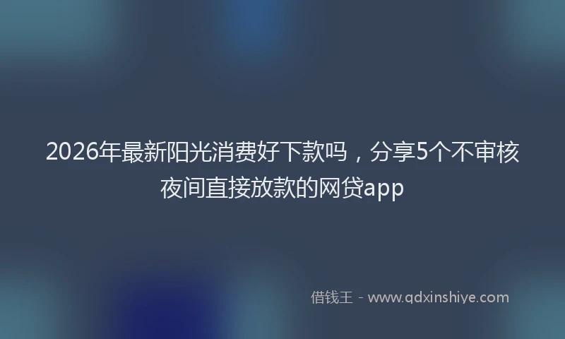 2026年最新阳光消费好下款吗，分享5个不审核夜间直接放款的网贷app
