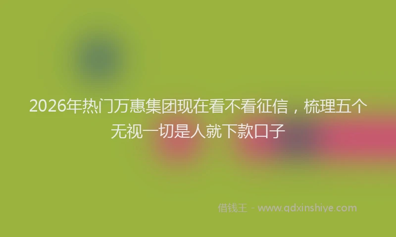2026年热门万惠集团现在看不看征信，梳理五个无视一切是人就下款口子