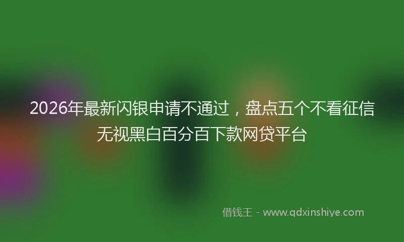 2026年最新闪银申请不通过，盘点五个不看征信无视黑白百分百下款网贷平台