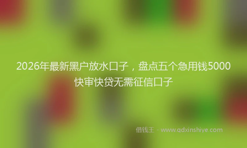 2026年最新黑户放水口子，盘点五个急用钱5000快审快贷无需征信口子