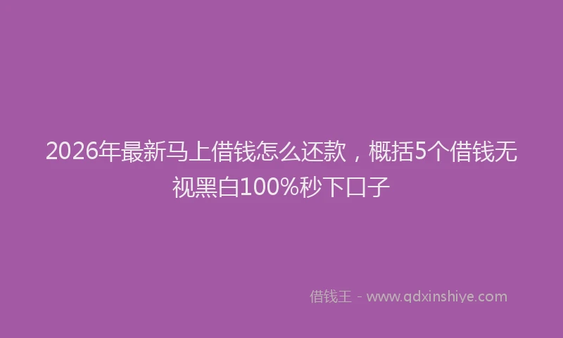 2026年最新马上借钱怎么还款，概括5个借钱无视黑白100%秒下口子