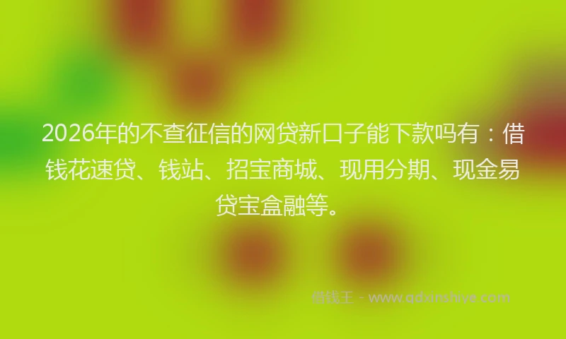 2026年的不查征信的网贷新口子能下款吗有：借钱花速贷、钱站、招宝商城、现用分期、现金易贷宝盒融等。