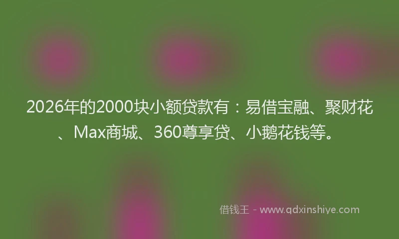 2026年的2000块小额贷款有：易借宝融、聚财花、Max商城、360尊享贷、小鹅花钱等。