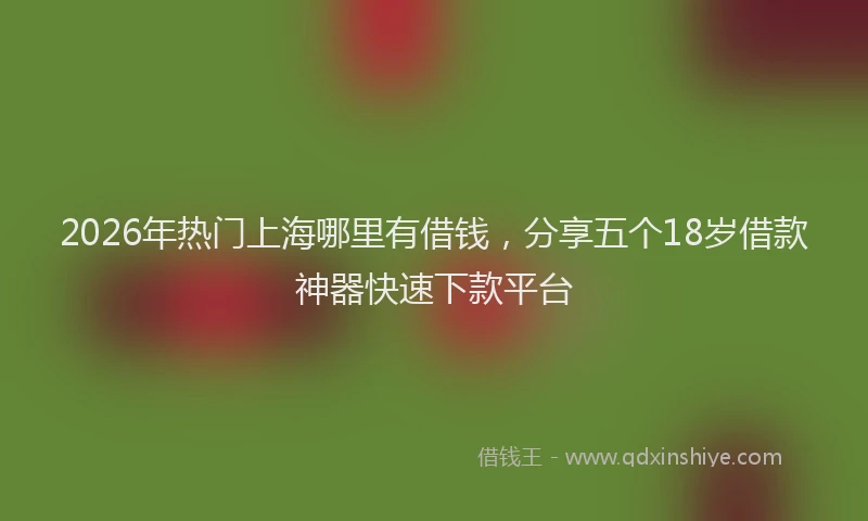 2026年热门上海哪里有借钱，分享五个18岁借款神器快速下款平台