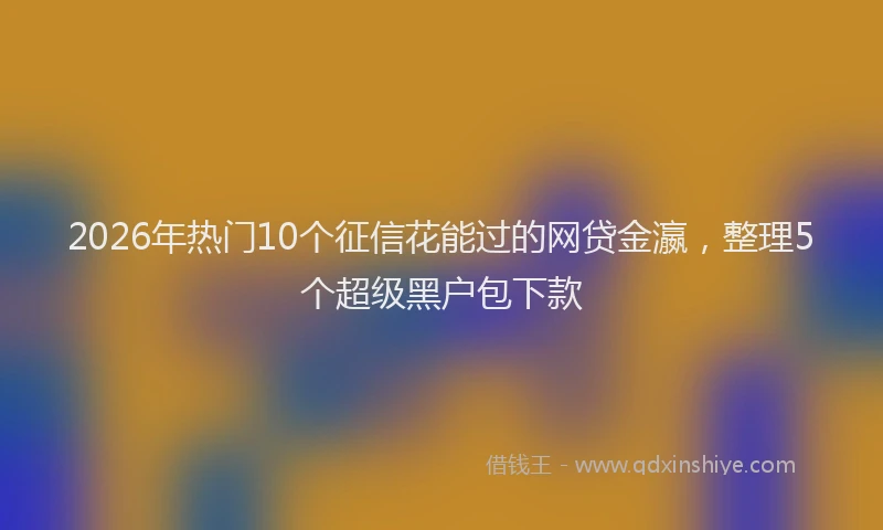 2026年热门10个征信花能过的网贷金瀛，整理5个超级黑户包下款