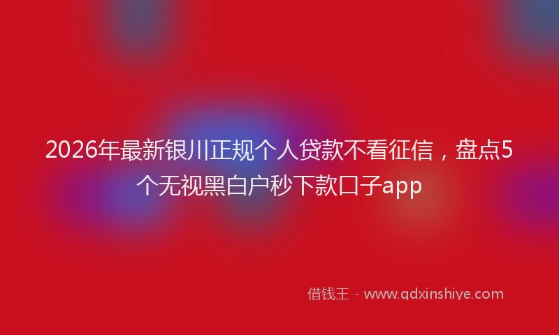 2026年最新银川正规个人贷款不看征信，盘点5个无视黑白户秒下款口子app