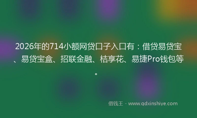 2026年的714小额网贷口子入口有：借贷易贷宝、易贷宝盒、招联金融、桔享花、易捷Pro钱包等。