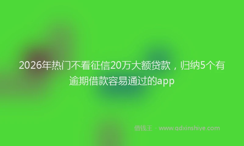 2026年热门不看征信20万大额贷款，归纳5个有逾期借款容易通过的app