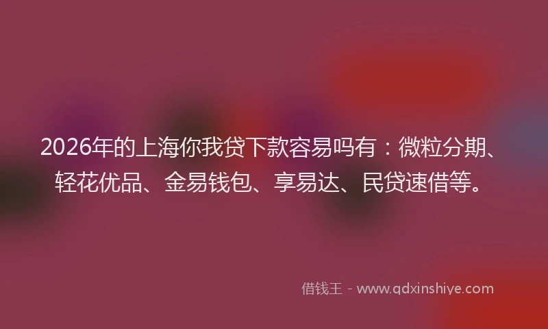 2026年的上海你我贷下款容易吗有：微粒分期、轻花优品、金易钱包、享易达、民贷速借等。