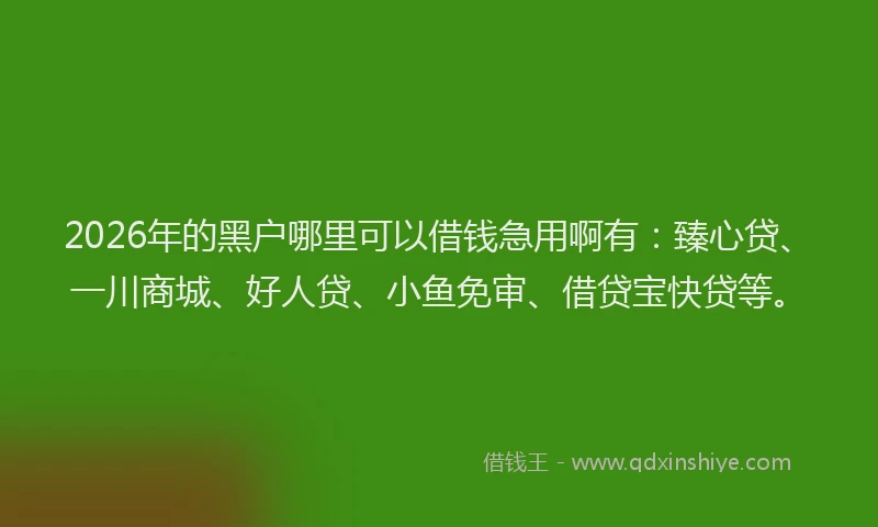 2026年的黑户哪里可以借钱急用啊有：臻心贷、一川商城、好人贷、小鱼免审、借贷宝快贷等。