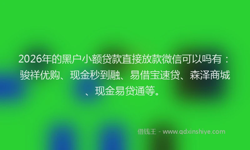 2026年的黑户小额贷款直接放款微信可以吗有：骏祥优购、现金秒到融、易借宝速贷、森泽商城、现金易贷通等。