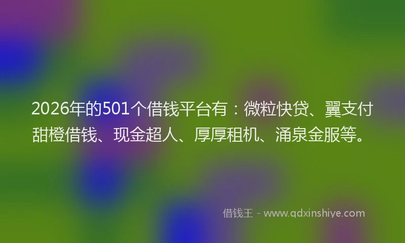 2026年的501个借钱平台有：微粒快贷、翼支付甜橙借钱、现金超人、厚厚租机、涌泉金服等。