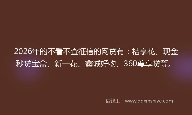 2026年的不看不查征信的网贷有：桔享花、现金秒贷宝盒、新一花、鑫诚好物、360尊享贷等。