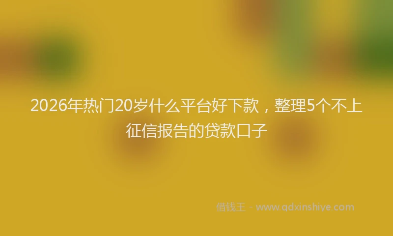 2026年热门20岁什么平台好下款，整理5个不上征信报告的贷款口子