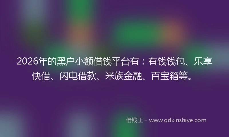 2026年的黑户小额借钱平台有：有钱钱包、乐享快借、闪电借款、米族金融、百宝箱等。