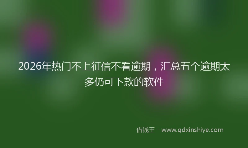 2026年热门不上征信不看逾期，汇总五个逾期太多仍可下款的软件