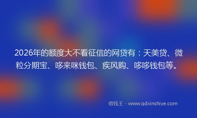 2026年的额度大不看征信的网贷有：天美贷、微粒分期宝、哆来咪钱包、疾风购、哆哆钱包等。
