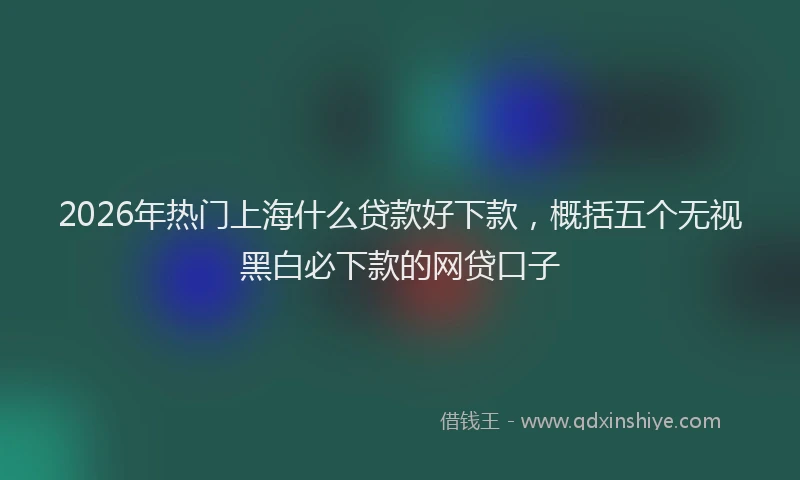 2026年热门上海什么贷款好下款，概括五个无视黑白必下款的网贷口子