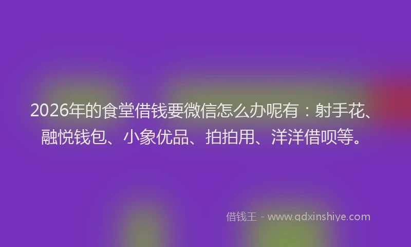 2026年的食堂借钱要微信怎么办呢有：射手花、融悦钱包、小象优品、拍拍用、洋洋借呗等。