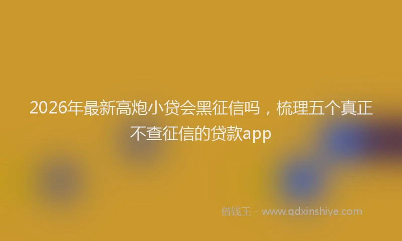 2026年最新高炮小贷会黑征信吗，梳理五个真正不查征信的贷款app