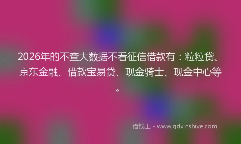 2026年的不查大数据不看征信借款有：粒粒贷、京东金融、借款宝易贷、现金骑士、现金中心等。