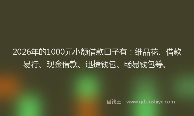 2026年的1000元小额借款口子有：维品花、借款易行、现金借款、迅捷钱包、畅易钱包等。