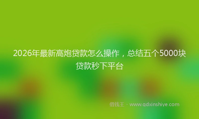 2026年最新高炮贷款怎么操作，总结五个5000块贷款秒下平台