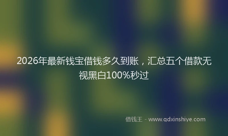 2026年最新钱宝借钱多久到账，汇总五个借款无视黑白100%秒过