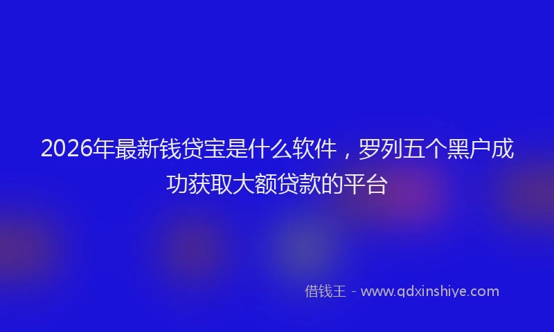 2026年最新钱贷宝是什么软件，罗列五个黑户成功获取大额贷款的平台