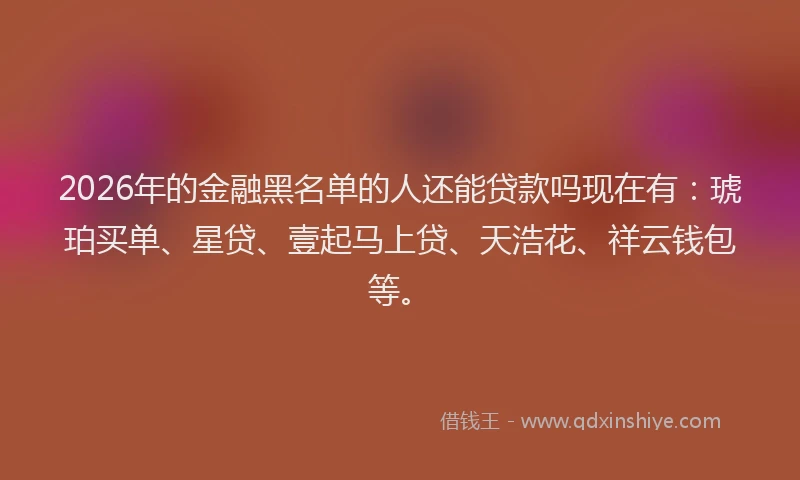 2026年的金融黑名单的人还能贷款吗现在有：琥珀买单、星贷、壹起马上贷、天浩花、祥云钱包等。