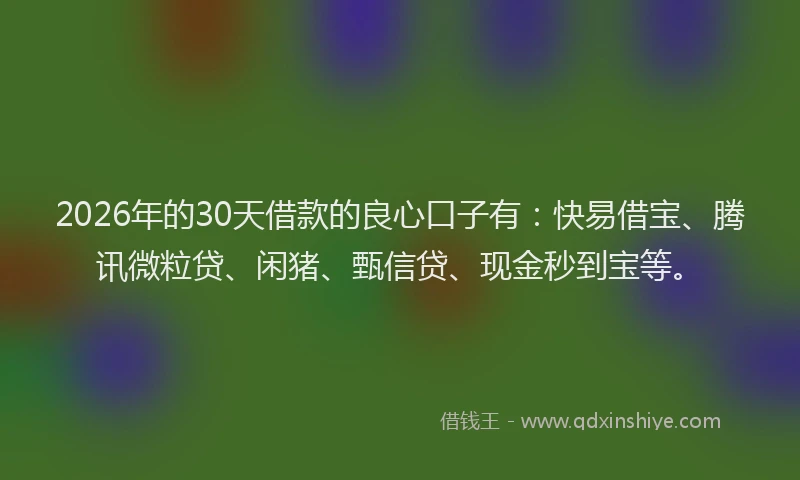2026年的30天借款的良心口子有：快易借宝、腾讯微粒贷、闲猪、甄信贷、现金秒到宝等。